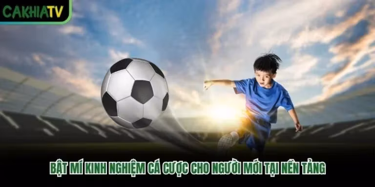 Bật Mí Kinh Nghiệm Cá Cược Cho Người Mới Tại Nền Tảng