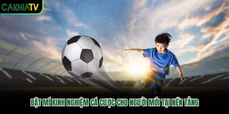 Bật Mí Kinh Nghiệm Cá Cược Cho Người Mới Tại Nền Tảng