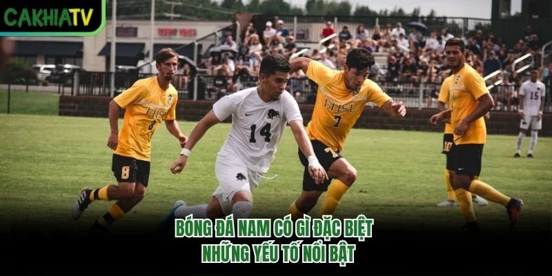 Bóng đá nam có gì đặc biệt - Những yếu tố nổi bật Bóng đá nam có gì đặc biệt - Những yếu tố nổi bật
