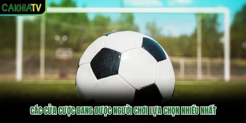 Các cửa cược đang được người chơi lựa chọn nhiều nhất