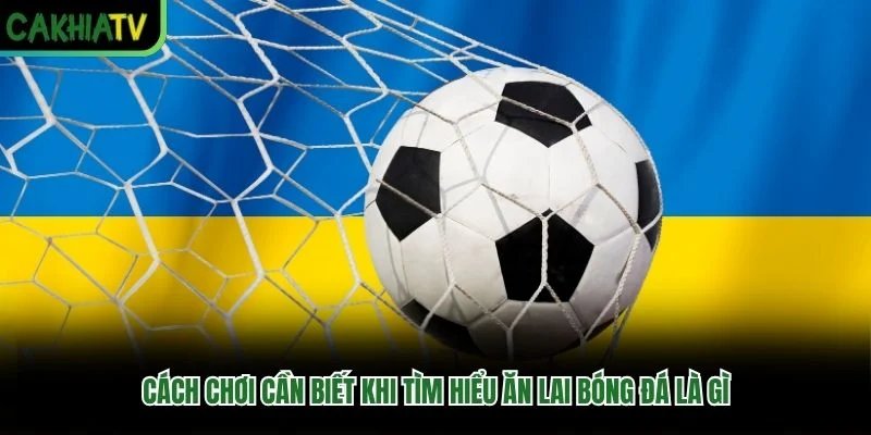 Cách chơi cần biết khi tìm hiểu ăn lai bóng đá là gì
