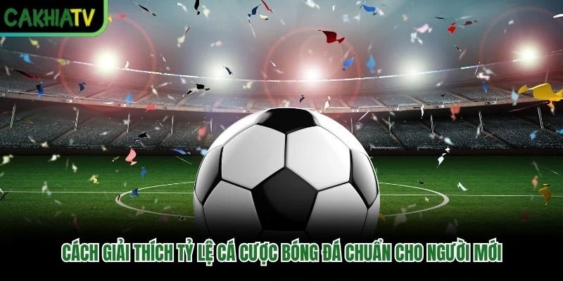 Cách Giải Thích Tỷ Lệ Cá Cược Bóng Đá Chuẩn Cho Người Mới