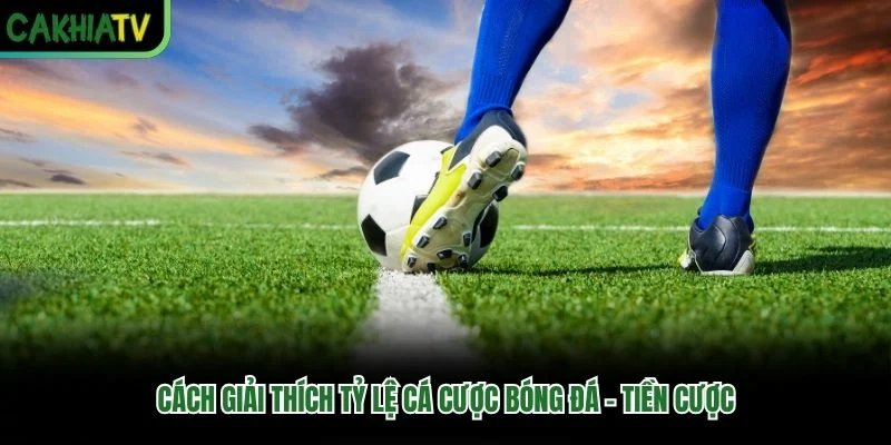 Cách giải thích tỷ lệ cá cược bóng đá - Tiền cược Cách giải thích tỷ lệ cá cược bóng đá - Tiền cược