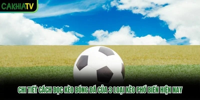 Chi tiết cách đọc kèo bóng đá của 3 loại kèo phổ biến hiện nay Chi tiết cách đọc kèo bóng đá của 3 loại kèo phổ biến hiện nay