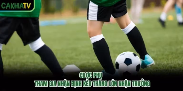 Cược Phụ - Tham Gia Nhận Định Kèo Thắng Lớn Nhận Thưởng