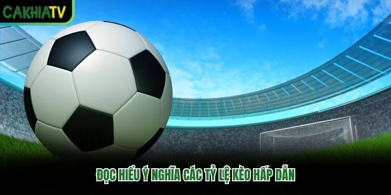 Đọc hiểu ý nghĩa các tỷ lệ kèo hấp dẫn Đọc hiểu ý nghĩa các tỷ lệ kèo hấp dẫn