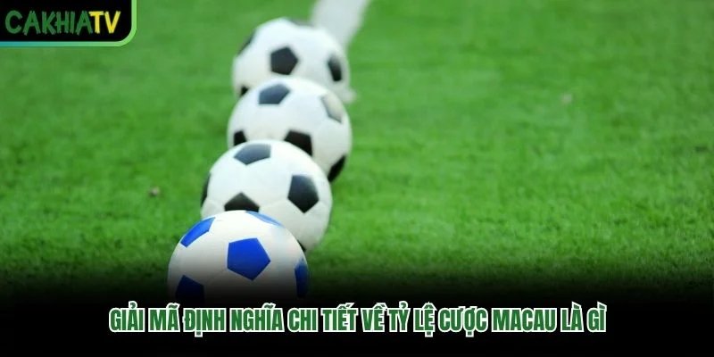 Giải mã định nghĩa chi tiết về tỷ lệ cược Macau là gì Giải mã định nghĩa chi tiết về tỷ lệ cược Macau là gì