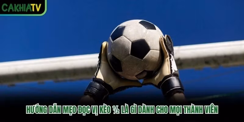 Hướng dẫn mẹo đọc vị kèo 1/2 là gì dành cho mọi thành viên