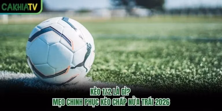 Kèo 1/2 là gì? Mẹo Chinh Phục Kèo Chấp Nửa Trái 2026