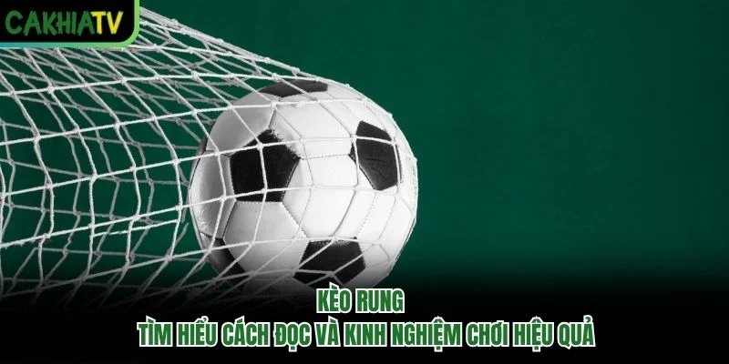 Kèo Rung - Tìm Hiểu Cách Đọc Và Kinh Nghiệm Chơi Hiệu Quả