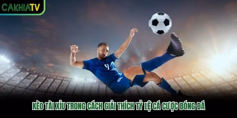Kèo tài xỉu trong cách giải thích tỷ lệ cá cược bóng đá Kèo tài xỉu trong cách giải thích tỷ lệ cá cược bóng đá