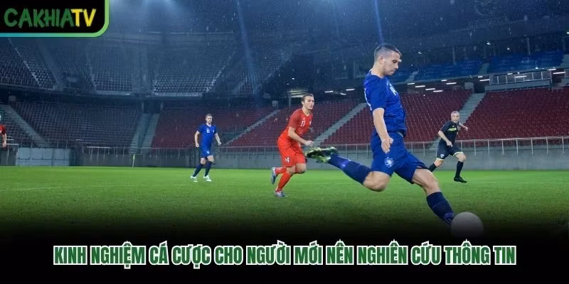 Kinh nghiệm cá cược cho người mới nên nghiên cứu thông tin
