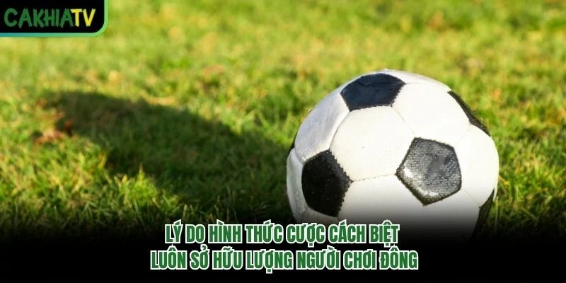 Lý do hình thức cược cách biệt luôn sở hữu lượng người chơi đông Lý do hình thức cược cách biệt luôn sở hữu lượng người chơi đông