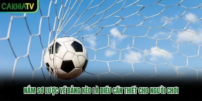 Nắm sơ lược về bảng kèo là điều cần thiết cho người chơi Nắm sơ lược về bảng kèo là điều cần thiết cho người chơi