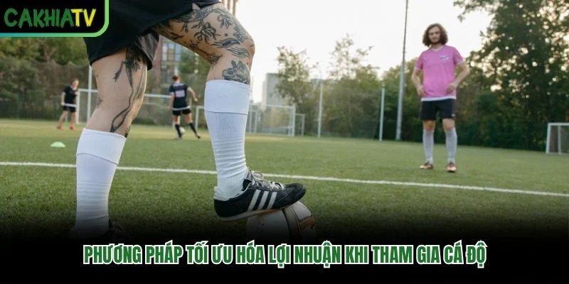 Phương pháp tối ưu hóa lợi nhuận khi tham gia cá độ