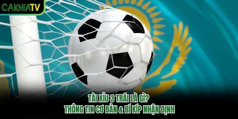 Tài Xỉu 3 Trái Là Gì? Thông Tin Cơ Bản & Bí Kíp Nhận Định