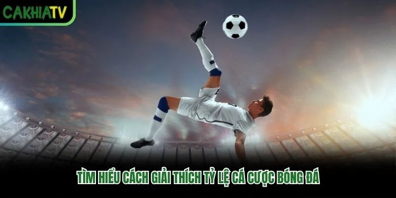 Tìm hiểu cách giải thích tỷ lệ cá cược bóng đá Tìm hiểu cách giải thích tỷ lệ cá cược bóng đá