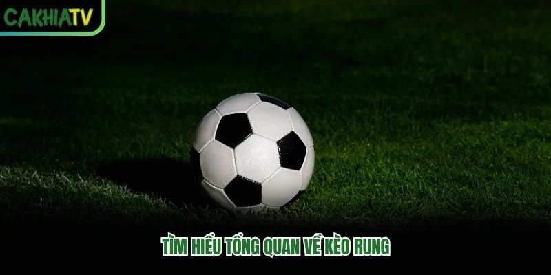 Tìm hiểu tổng quan về kèo rung Tìm hiểu tổng quan về kèo rung