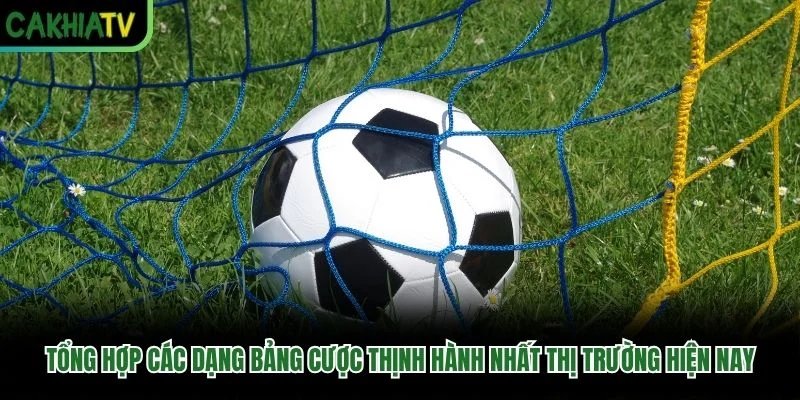 Tổng hợp các dạng bảng cược thịnh hành nhất thị trường hiện nay Tổng hợp các dạng bảng cược thịnh hành nhất thị trường hiện nay