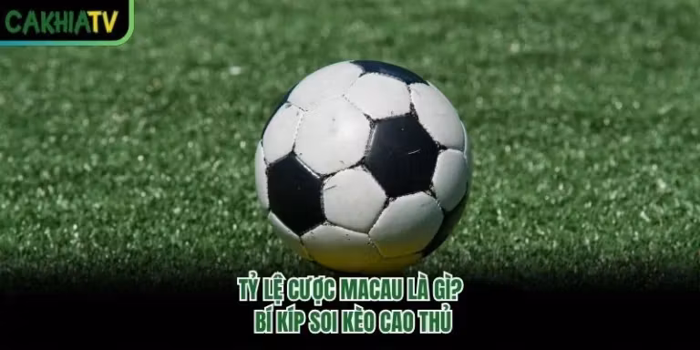 Tỷ Lệ Cược Macau Là Gì? Bí Kíp Soi Kèo Cao Thủ